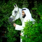 Mishary rashid al afasy